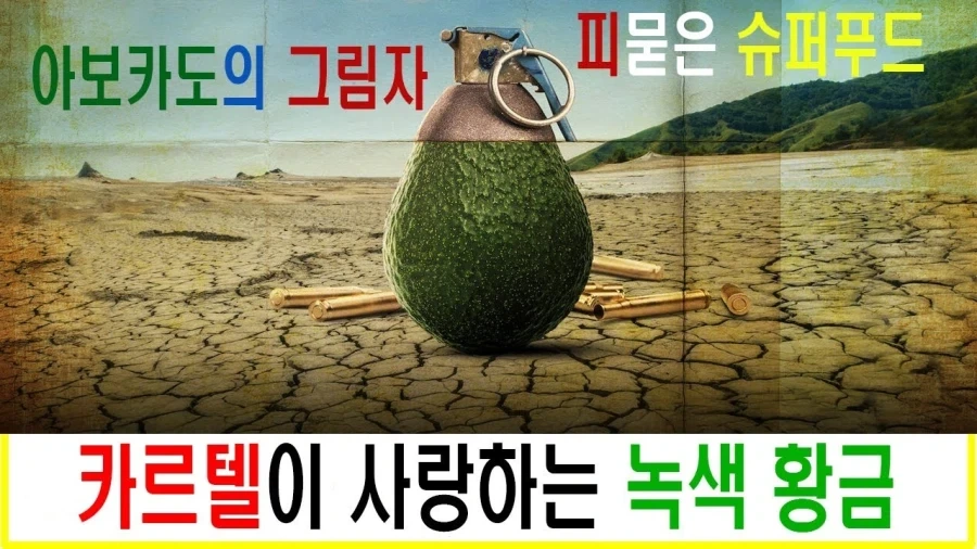 식품에 이득을 보는 마피아.jpg_2.webp