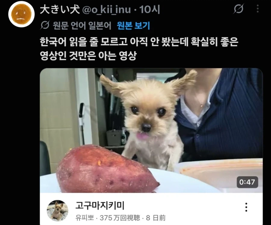한국어는 잘 모르지만_1.webp