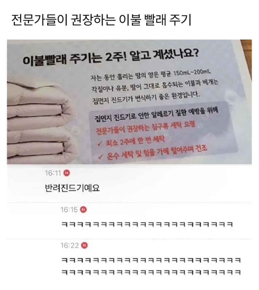 전문가들이 권장하는 이불 빨래 주기_1.webp