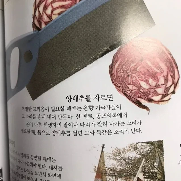 음향기술자들이 양배추를 자르는 이유.jpg_1.webp