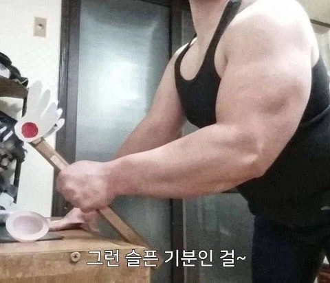 카드캡터 체리 코스프레.jpg_1.webp