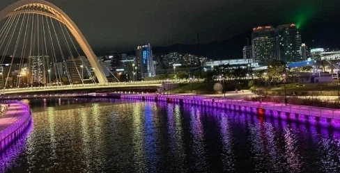 뭐? 부산역 앞에 있는 친수공원 수로에 상어가 나왔다고?_1.webp
