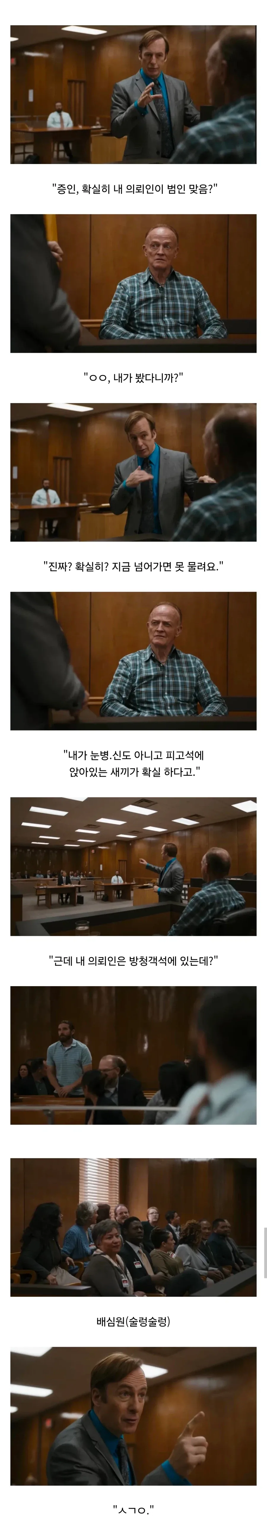 어느 변호사가 무죄 받는방법_1.webp