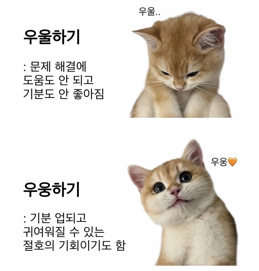 우울하기 vs 우우하기_1.webp