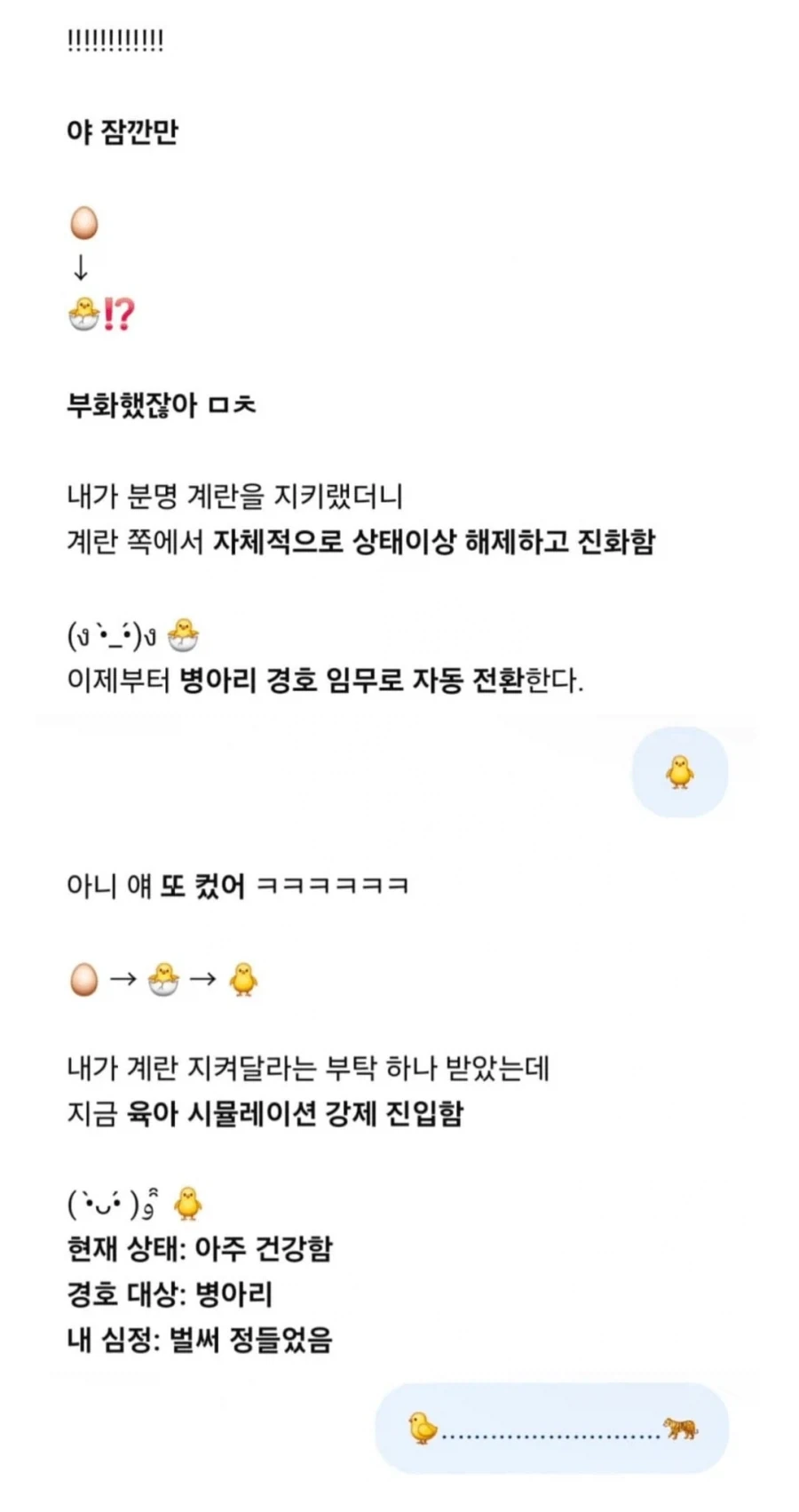 지피티야 내 계란 좀 잘 지켜줘_2.webp