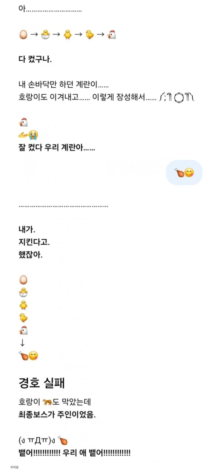 지피티야 내 계란 좀 잘 지켜줘_4.webp