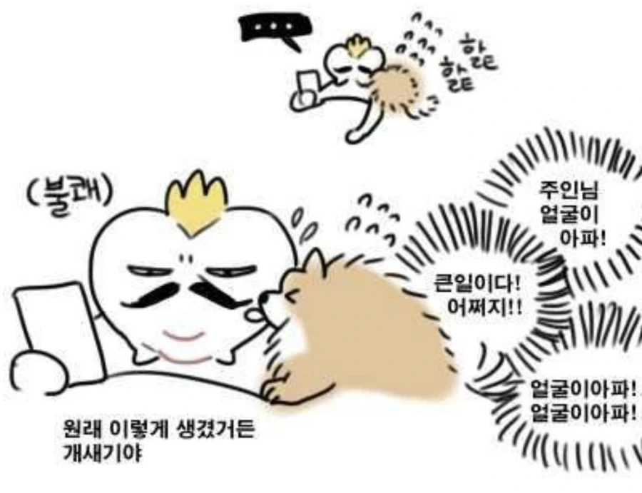 아픈곳을 핥아주는 강아지_1.webp