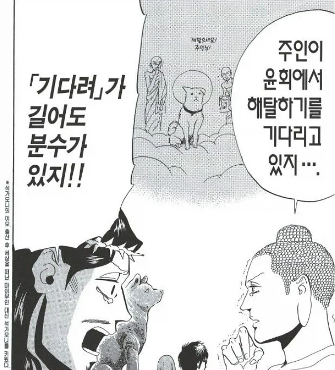 무지개 다리 건넌 멍웅이의 충성심_2.webp