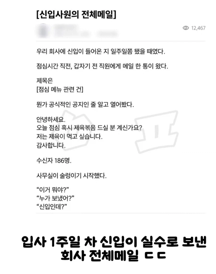 사내 메일 잘못 보낸 신입.jpg_1.webp