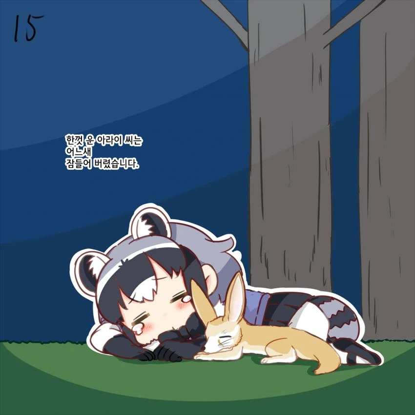 15.jpg