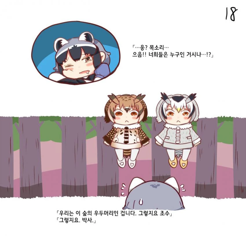 18.jpg