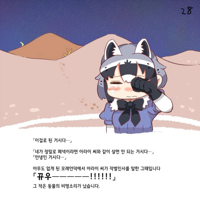 28.jpg