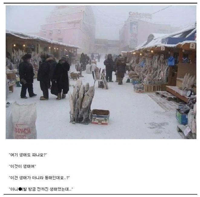 생물 생선이 존나 귀한 지역_1.webp