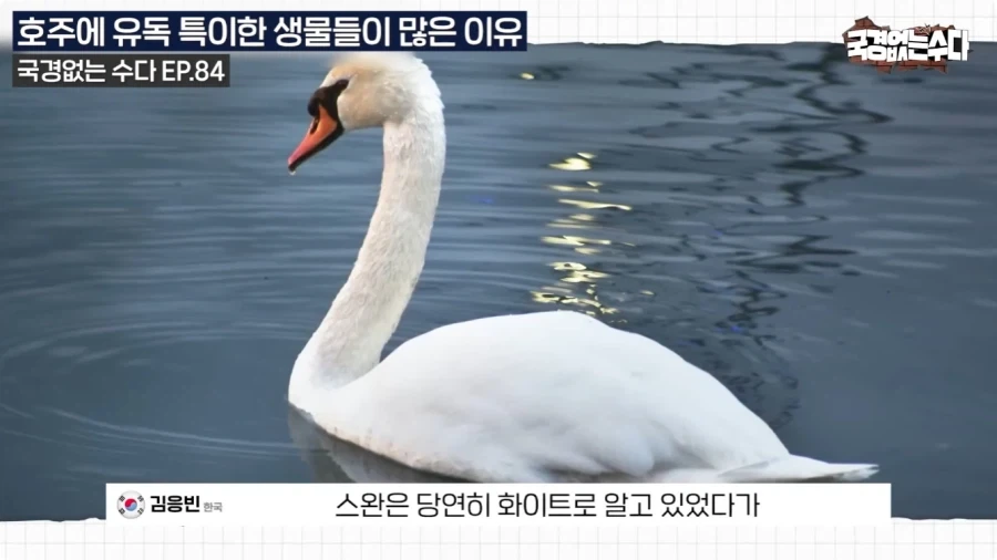 호주에 특이한 생물들이 많은 이유.jpg_17.webp