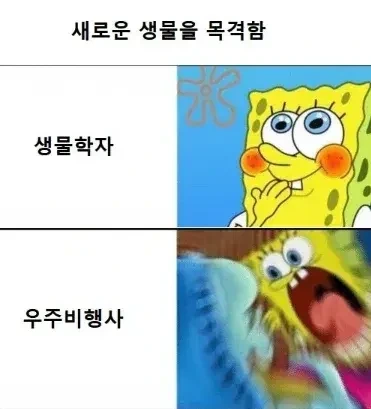 새로운 생물을 발견함.jpg_1.webp