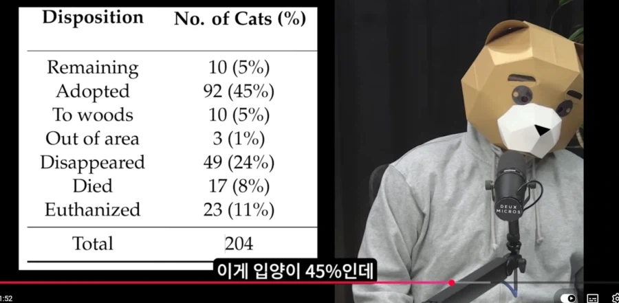 플로리다 고양이 200마리를 10마리로 만든 방법_1.webp