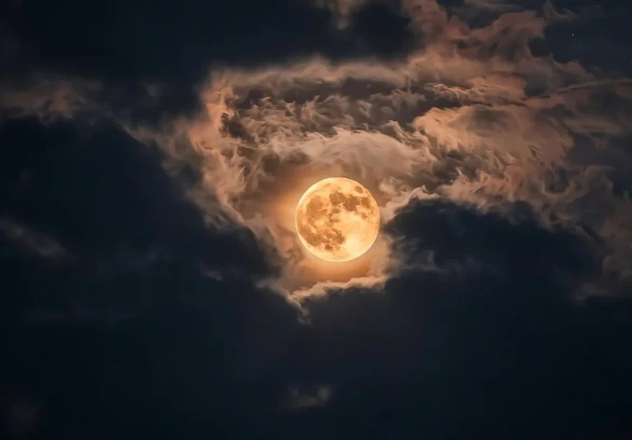 지금 이런걸 볼 때가 아니에요_1.webp