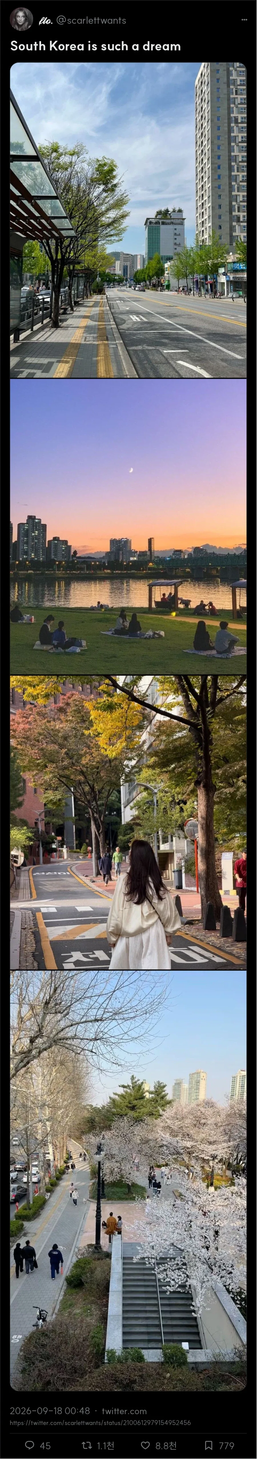 꿈 같은 곳_1.webp