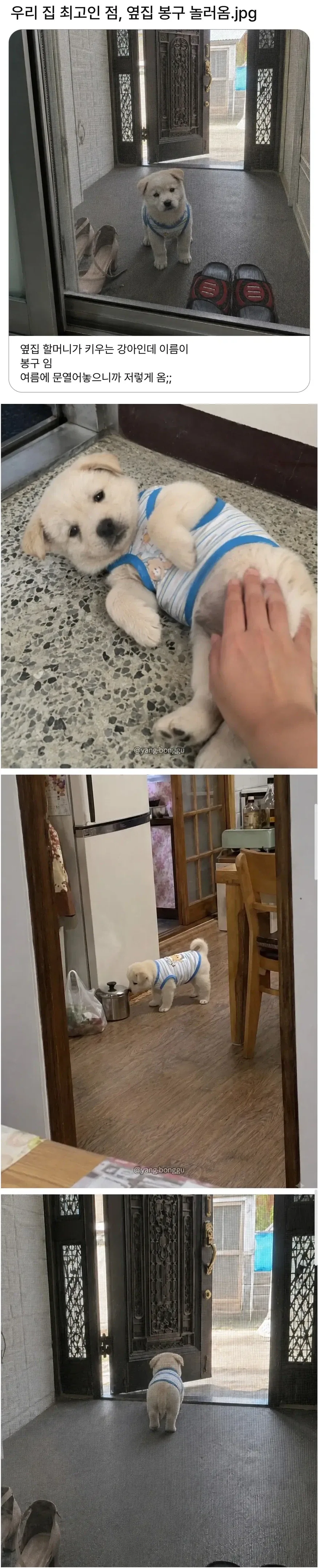 자기집이 최고인점을 소개하는 사람_1.webp