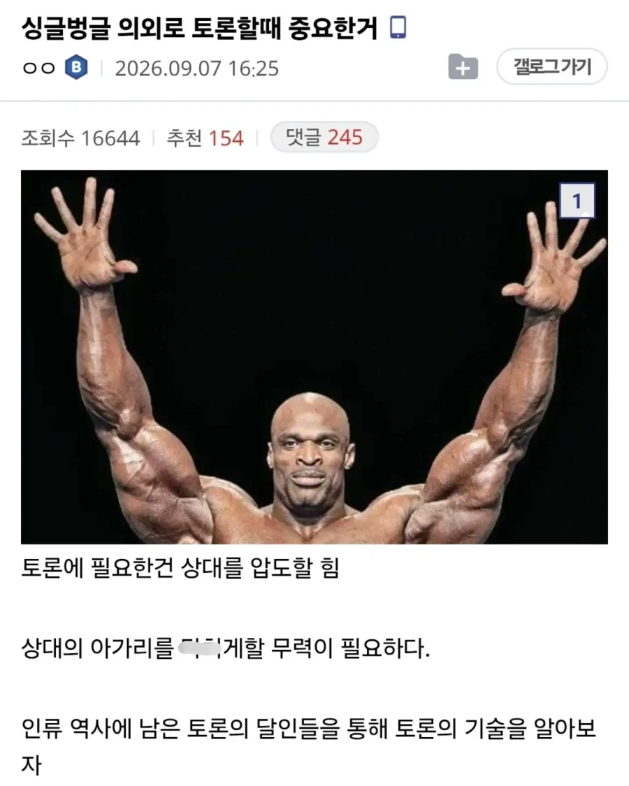 토론에 화술은 필요치않다_1.webp