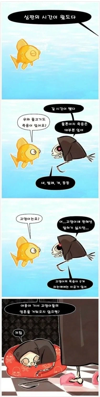 고양이의 목숨이 9개인 이유_1.webp