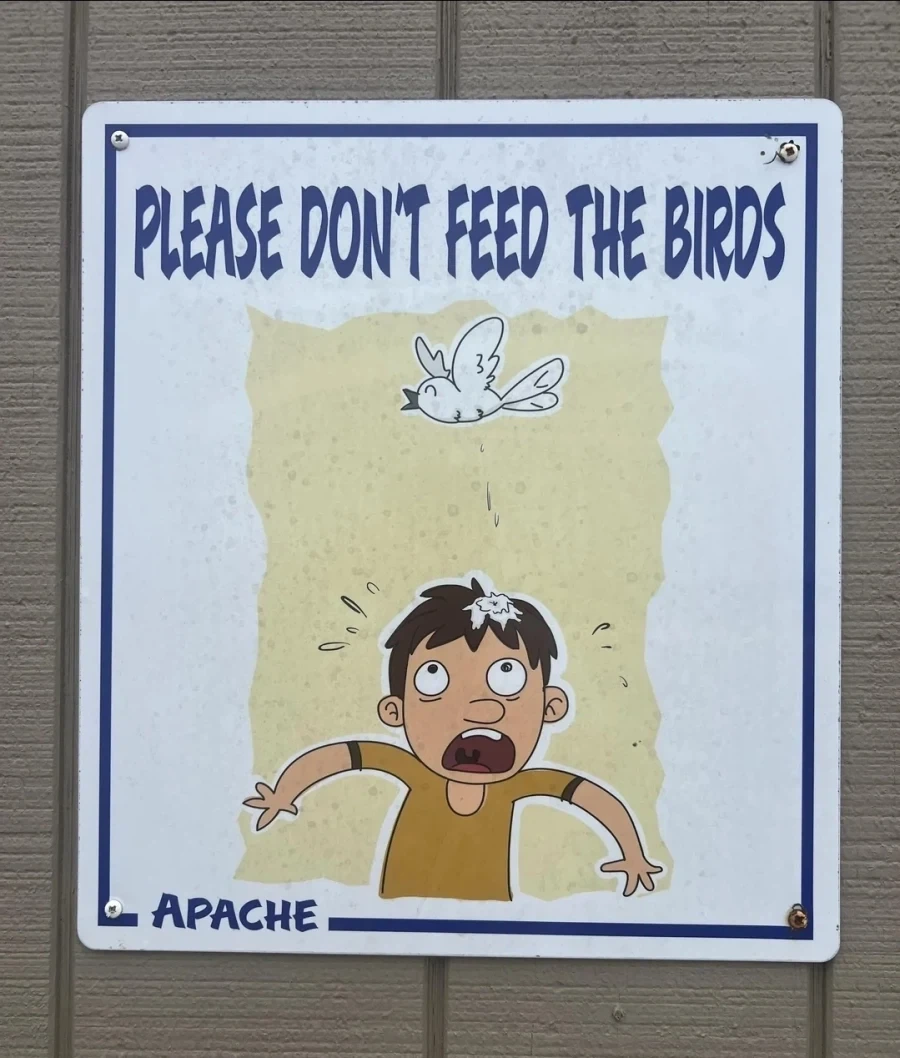 새들 똥싸니까 먹이 좀 먹이지 마세요_1.webp