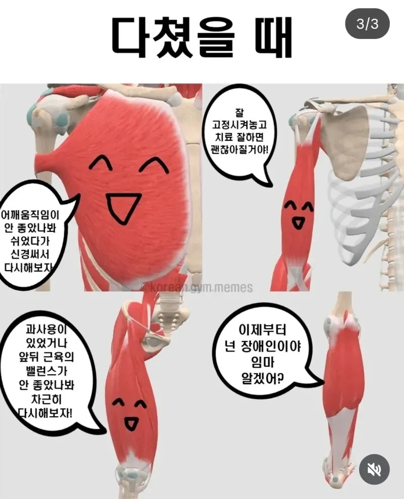 운동할 때 부위별 근육 특징_3.webp