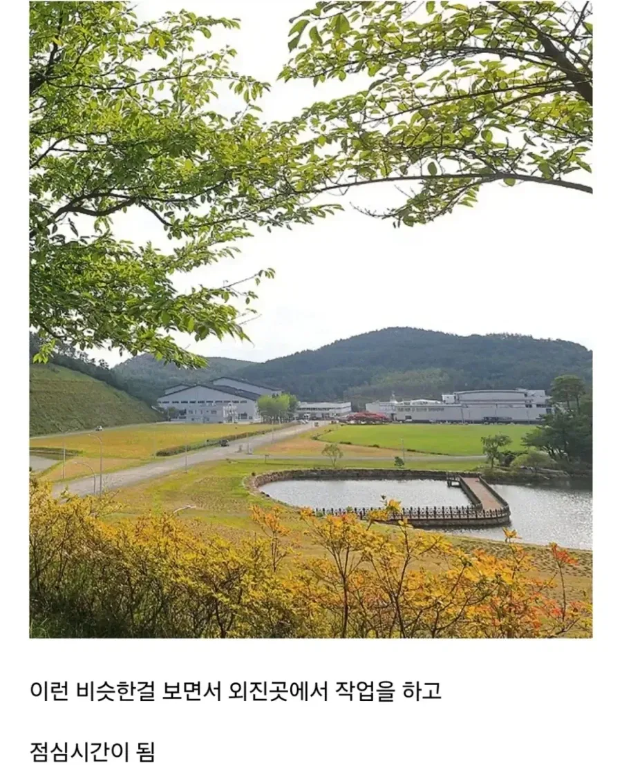 노가다 때문에 사이비 종교 신앙촌에 들어갔다 나온 사람_4.webp