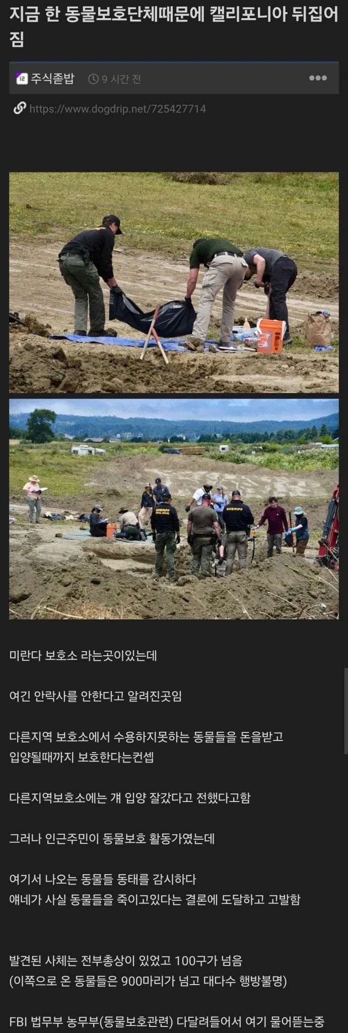 동물 보호단체의 어둠_1.webp
