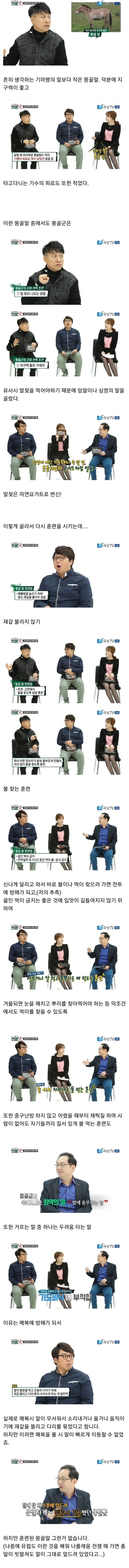 몽골제국의 핵심 군마.jpg_1.jpg