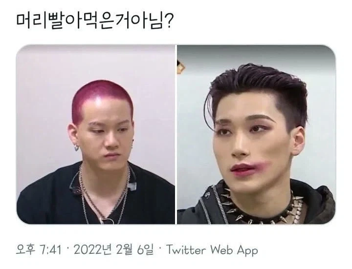 머리를 빨아먹은 남돌.jpg_1.webp