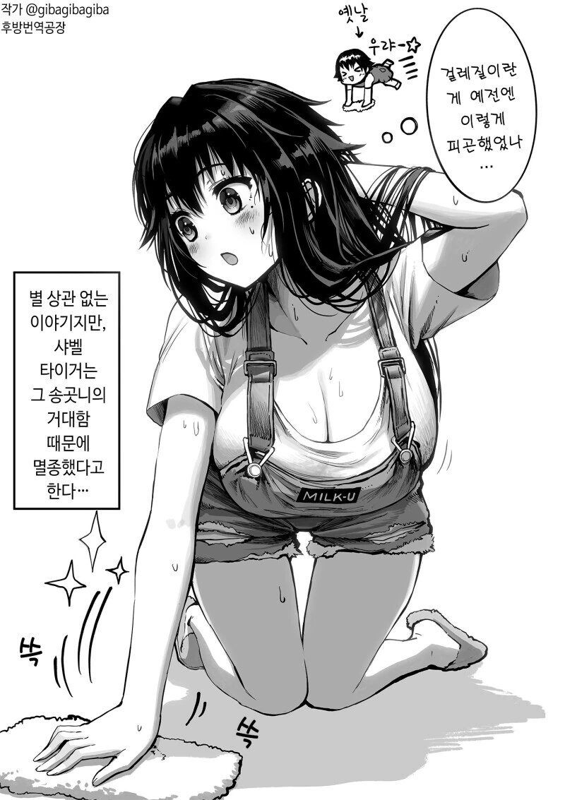 manga_3104011_001.webp