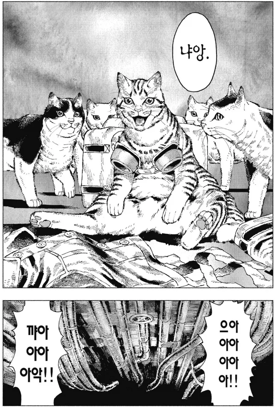 manga_76656942_e54e_007.webp