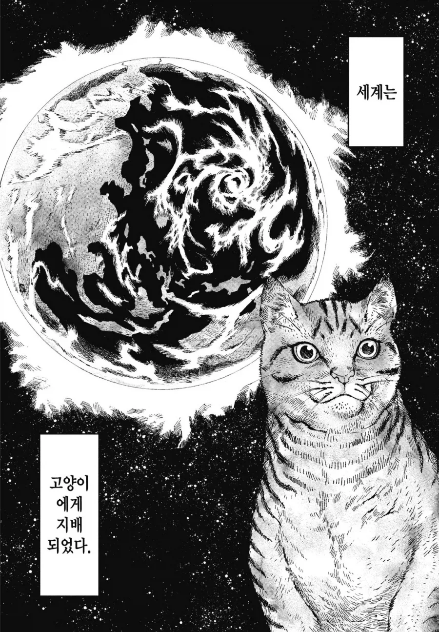 manga_76656942_e54e_014.webp