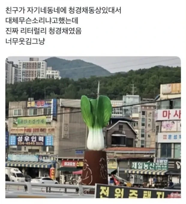 친구가 자기 동네에 청경채 동상이 있다는 거야.jpg_1.webp