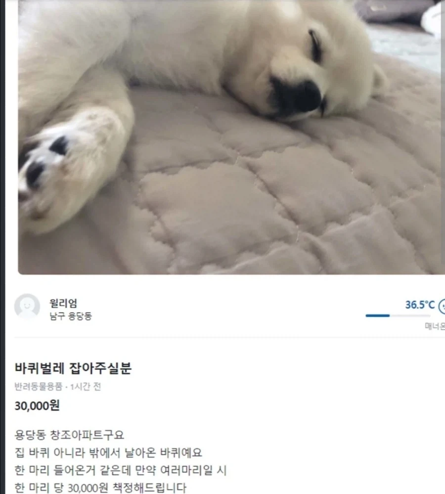 ???: 마리당 만원이면 다들 ㅈ냥이 잡으러 갈거임ㅋㅋ_1.webp