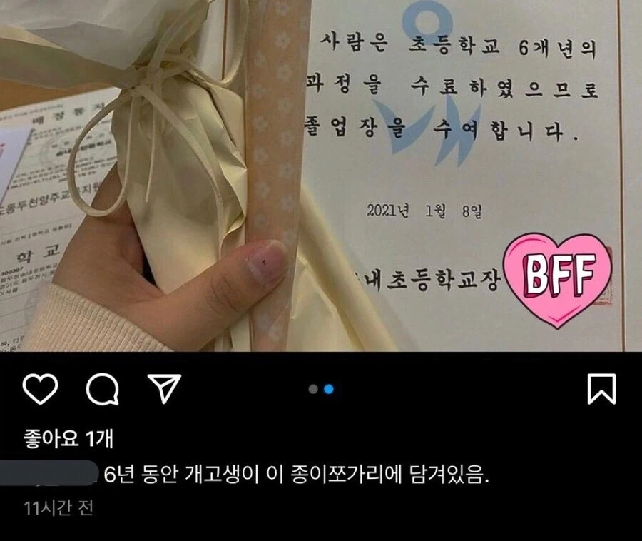 6년간의 개고생을 담은 종이 쪼가리 한 장.jpg_1.webp