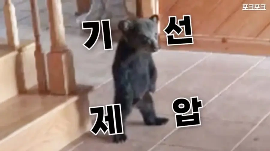 아기 사슴을 처음 본 아기 불곰의 흑역사.jpg_6.webp