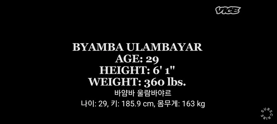 뭔가 여러가지가 섞인 스모선수.JPG_1.jpg