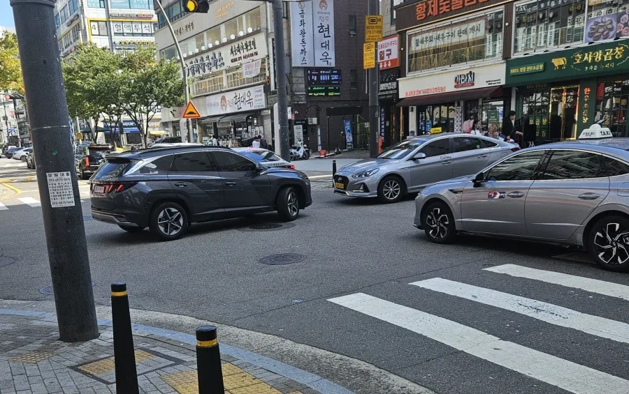 중국 역사를 실제로 보게됨_1.webp