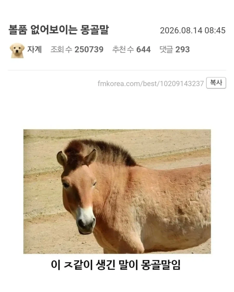 유익한이야기) 여기 볼품 없어 보이는 몽골말이 있습니다_1.webp