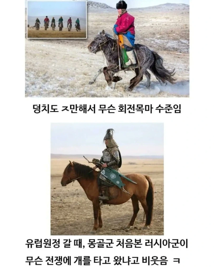 유익한이야기) 여기 볼품 없어 보이는 몽골말이 있습니다_2.webp