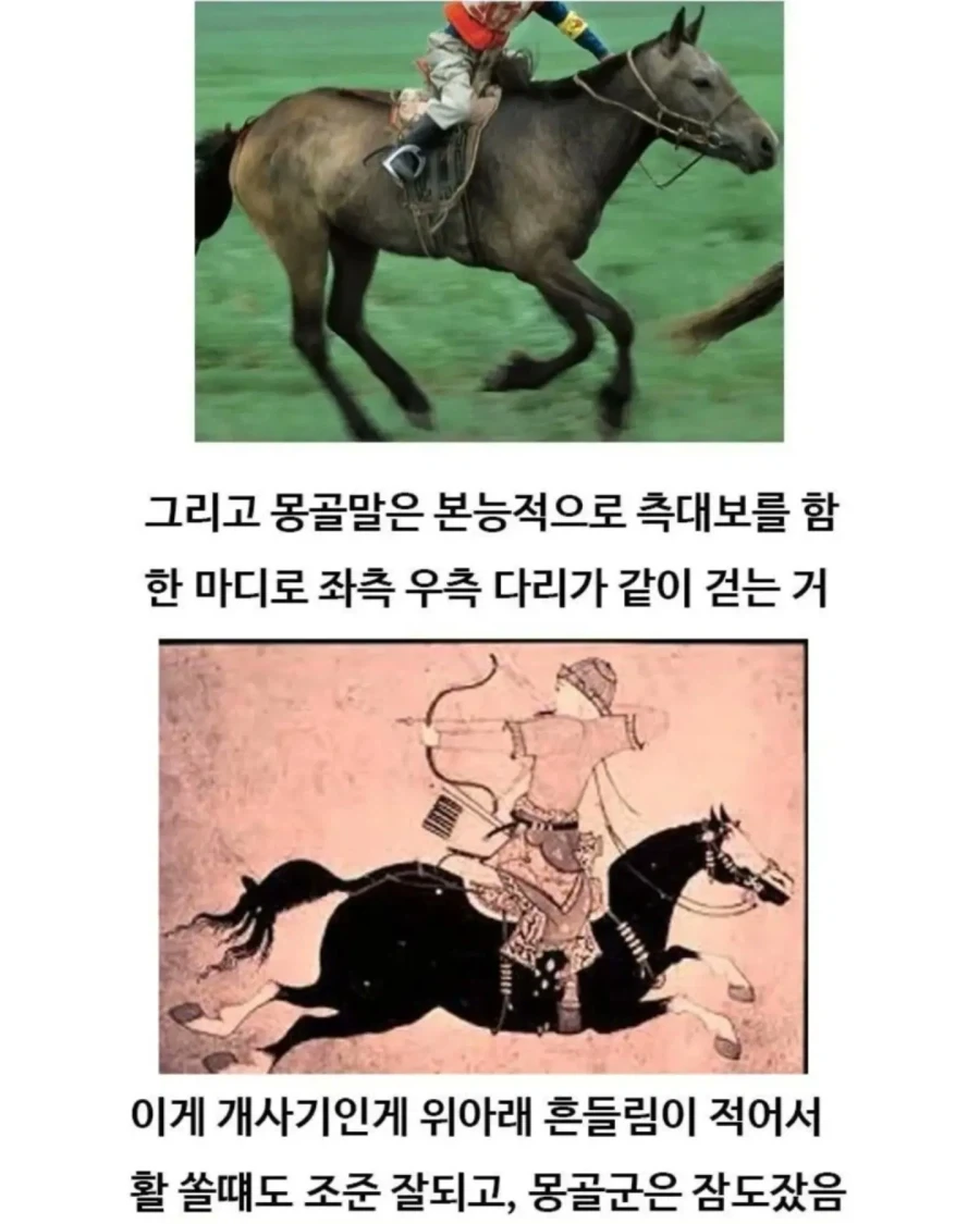 유익한이야기) 여기 볼품 없어 보이는 몽골말이 있습니다_7.webp