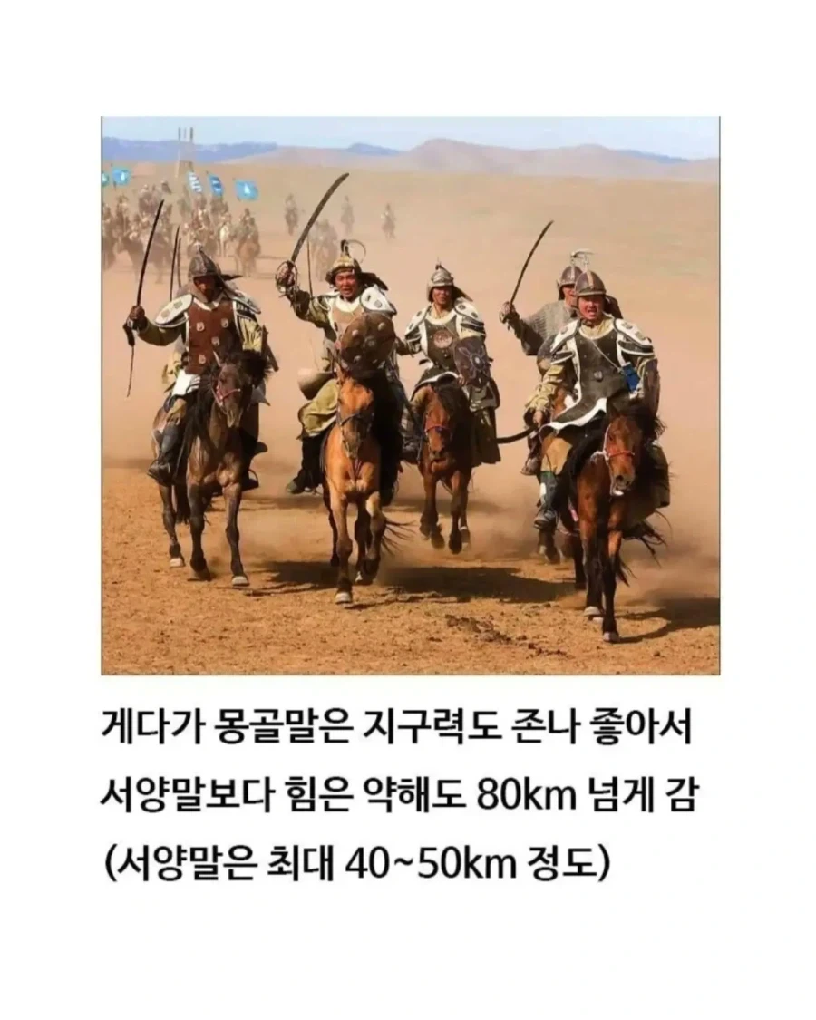 유익한이야기) 여기 볼품 없어 보이는 몽골말이 있습니다_8.webp