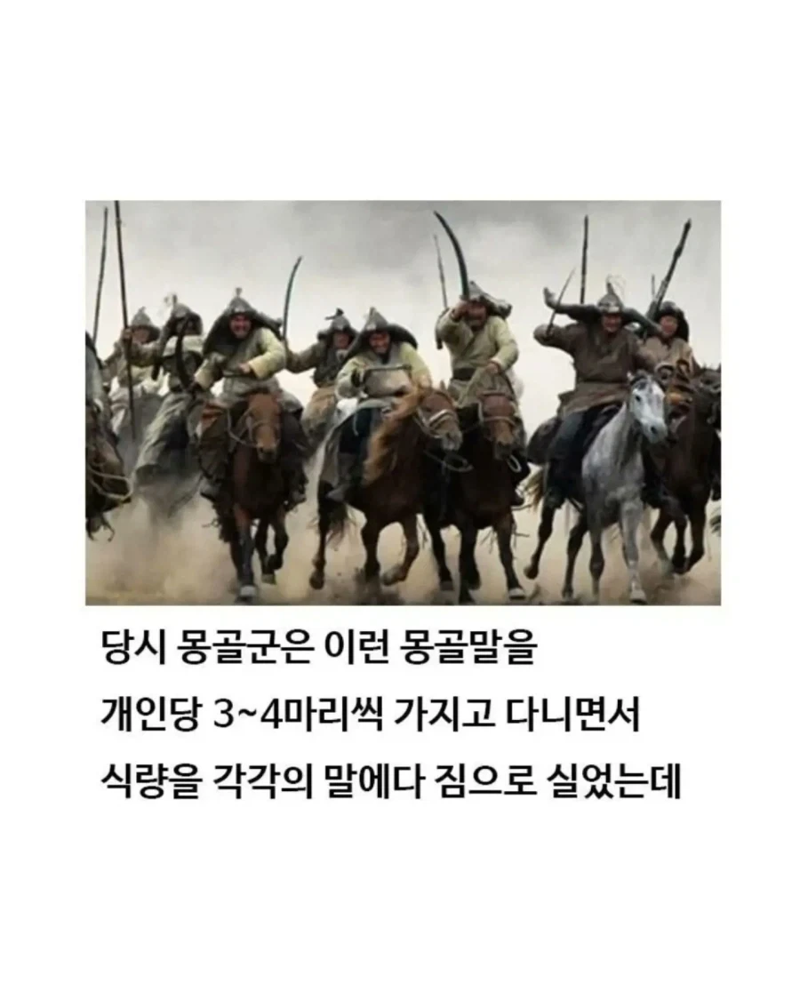유익한이야기) 여기 볼품 없어 보이는 몽골말이 있습니다_9.webp