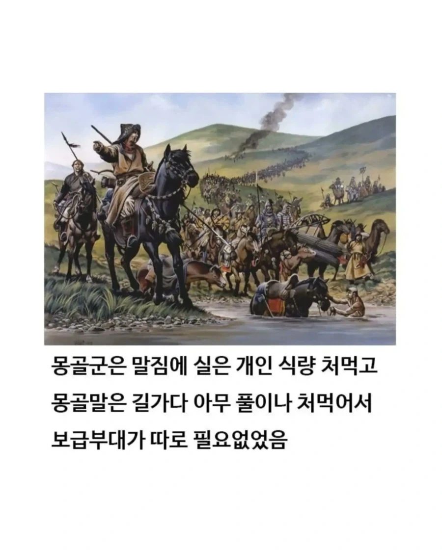 유익한이야기) 여기 볼품 없어 보이는 몽골말이 있습니다_10.webp