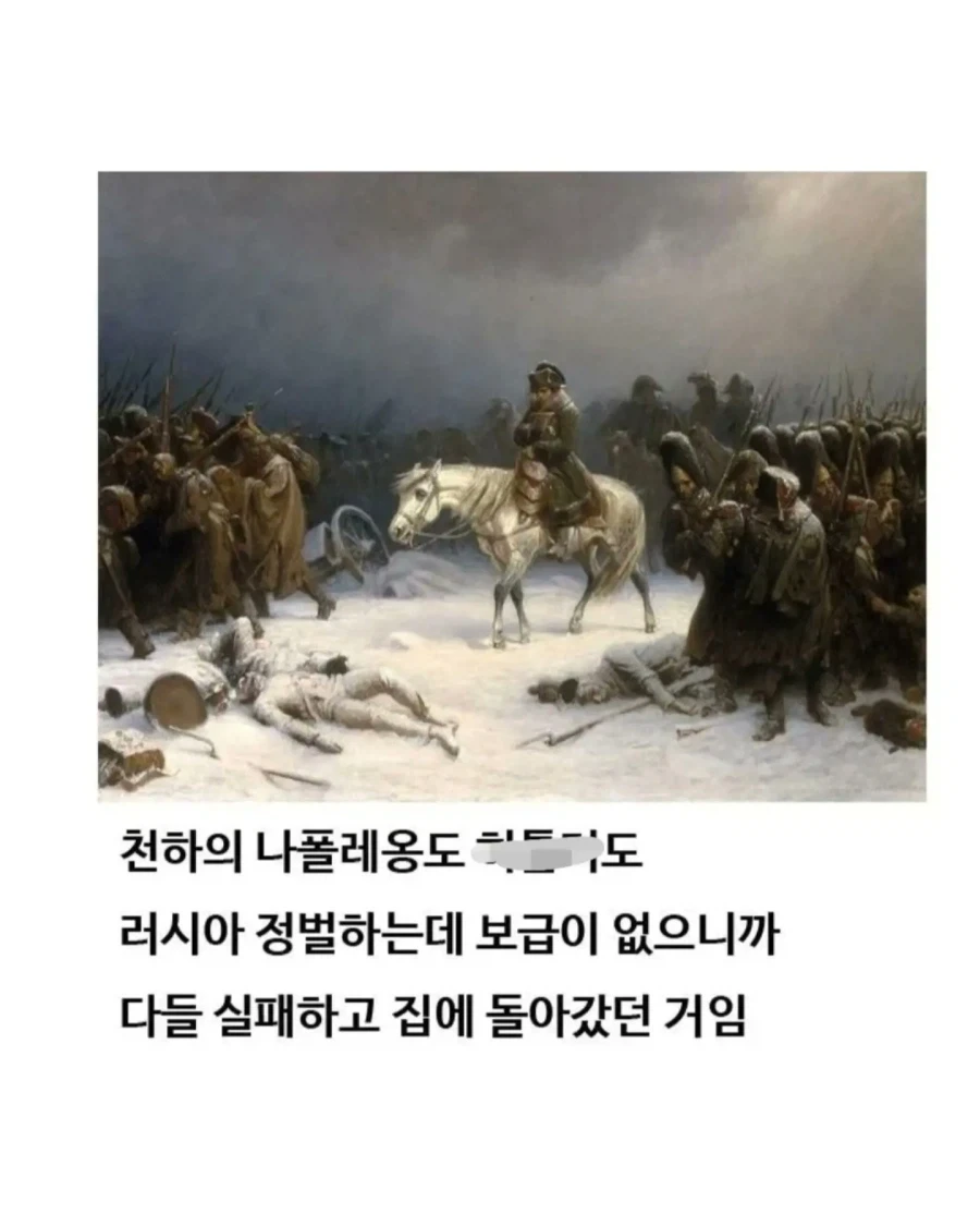 유익한이야기) 여기 볼품 없어 보이는 몽골말이 있습니다_11.webp