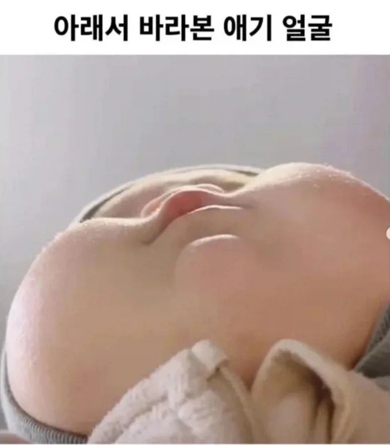 아래서 바라본 애기 얼굴_1.webp
