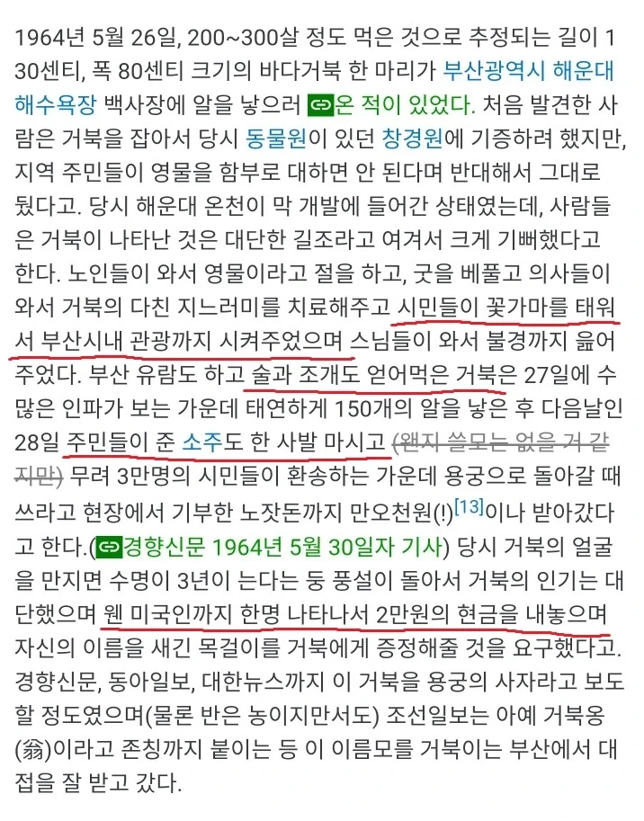 부산에서 상어나왔다고 난리난이유 . fullcourse_2.webp