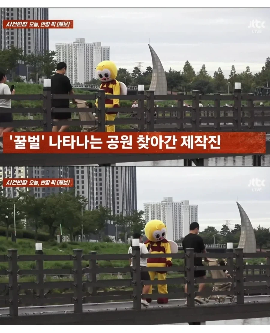 촬영 싫다는 꿀벌 인형탈편 억지로 찍어 방송 내보낸 사건반장_2.webp
